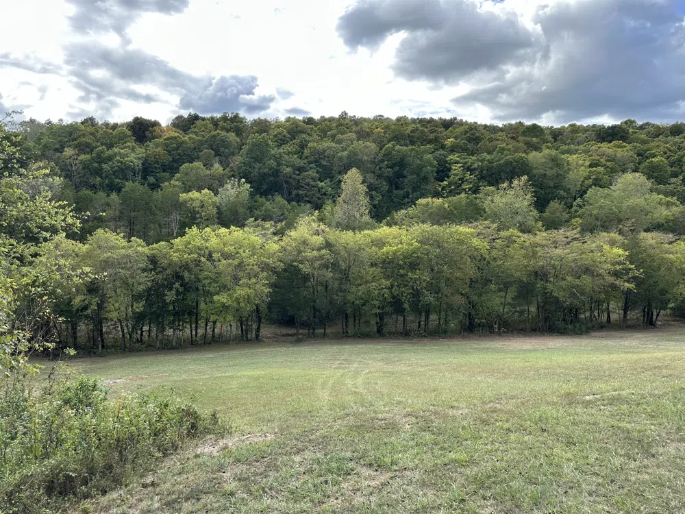 0 John Donald Lane Brush Creek, TN 38547