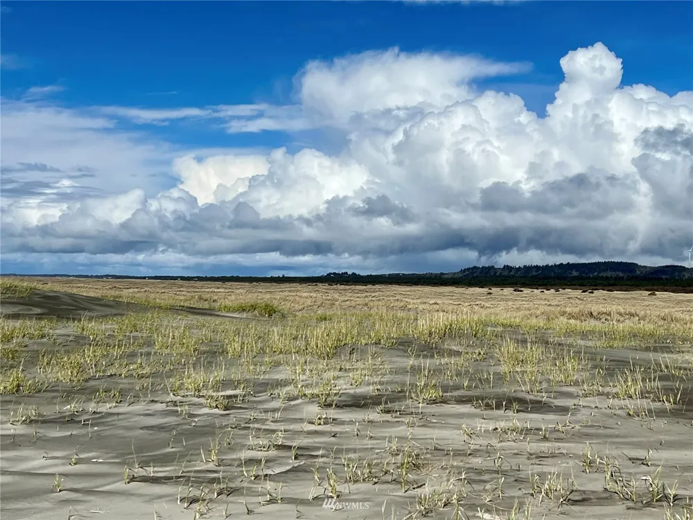 30 S State Route 105 Grayland, WA 98547