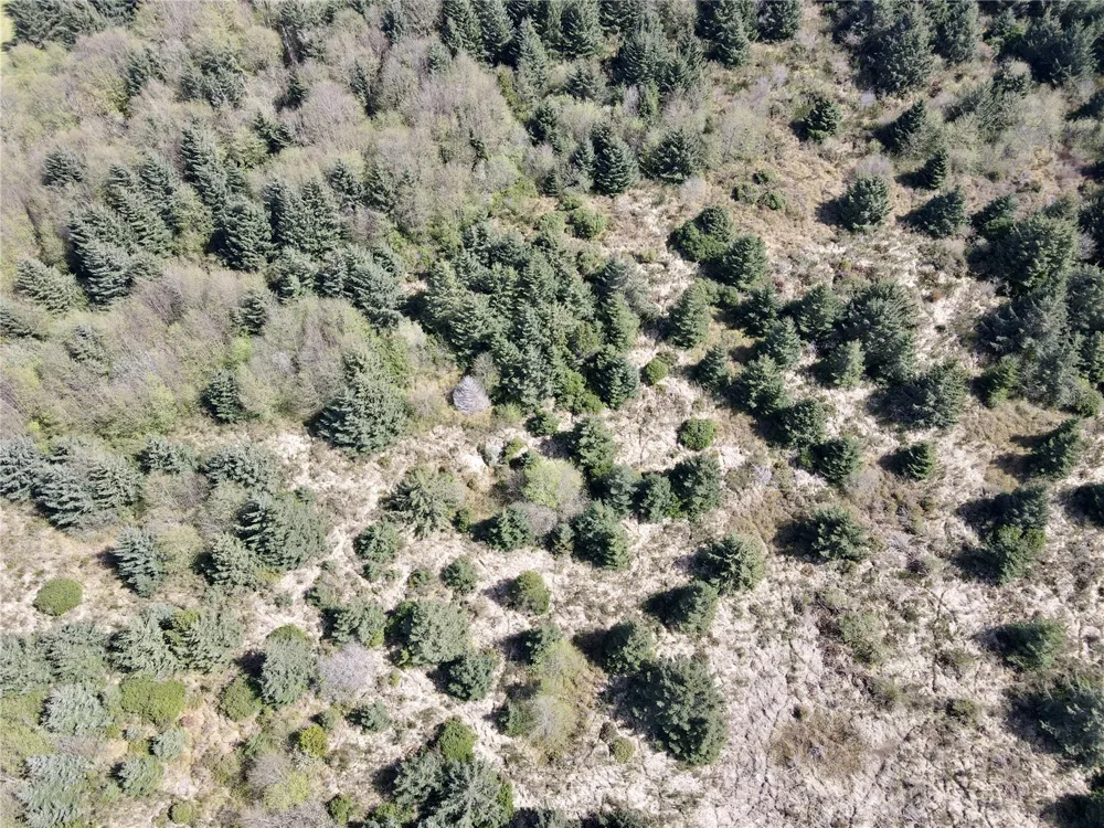 30 S State Route 105 Grayland, WA 98547