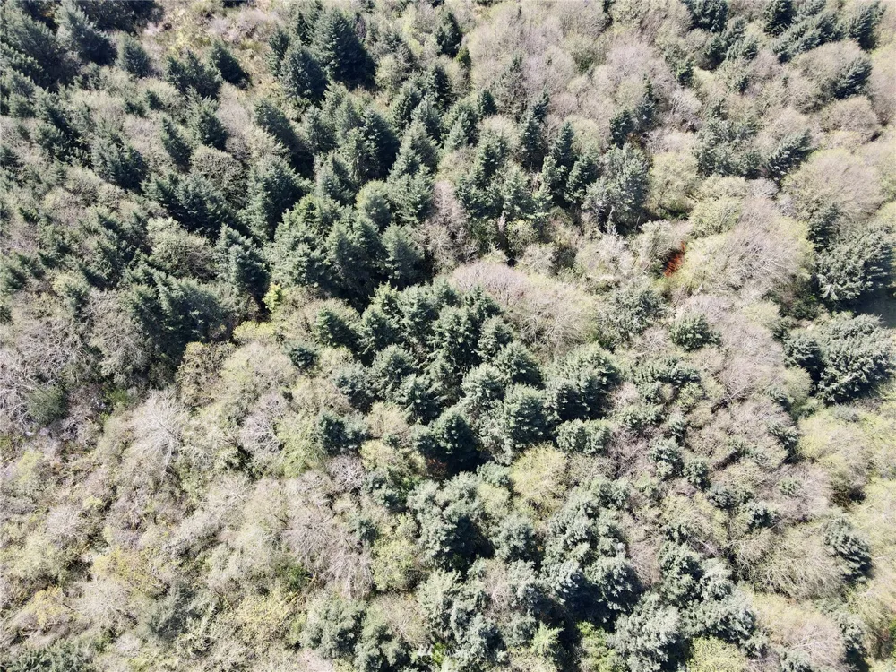 30 S State Route 105 Grayland, WA 98547
