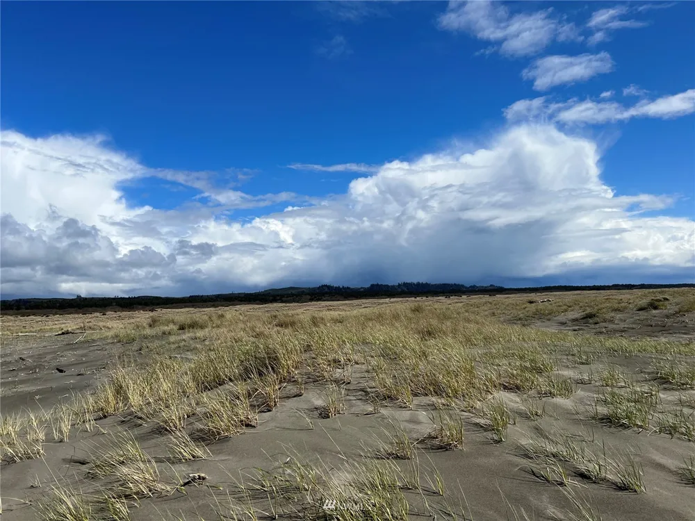 30 S State Route 105 Grayland, WA 98547