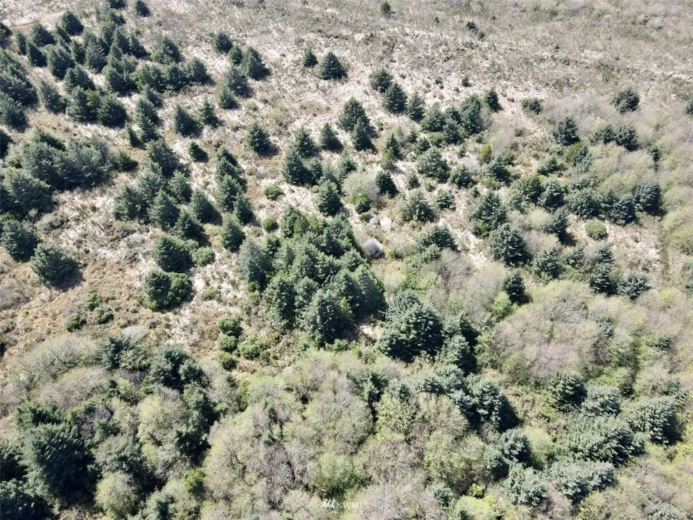 30 S State Route 105 Grayland, WA 98547