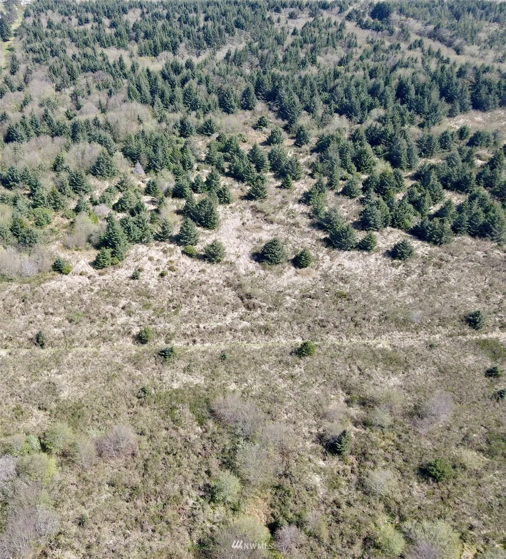 30 S State Route 105 Grayland, WA 98547
