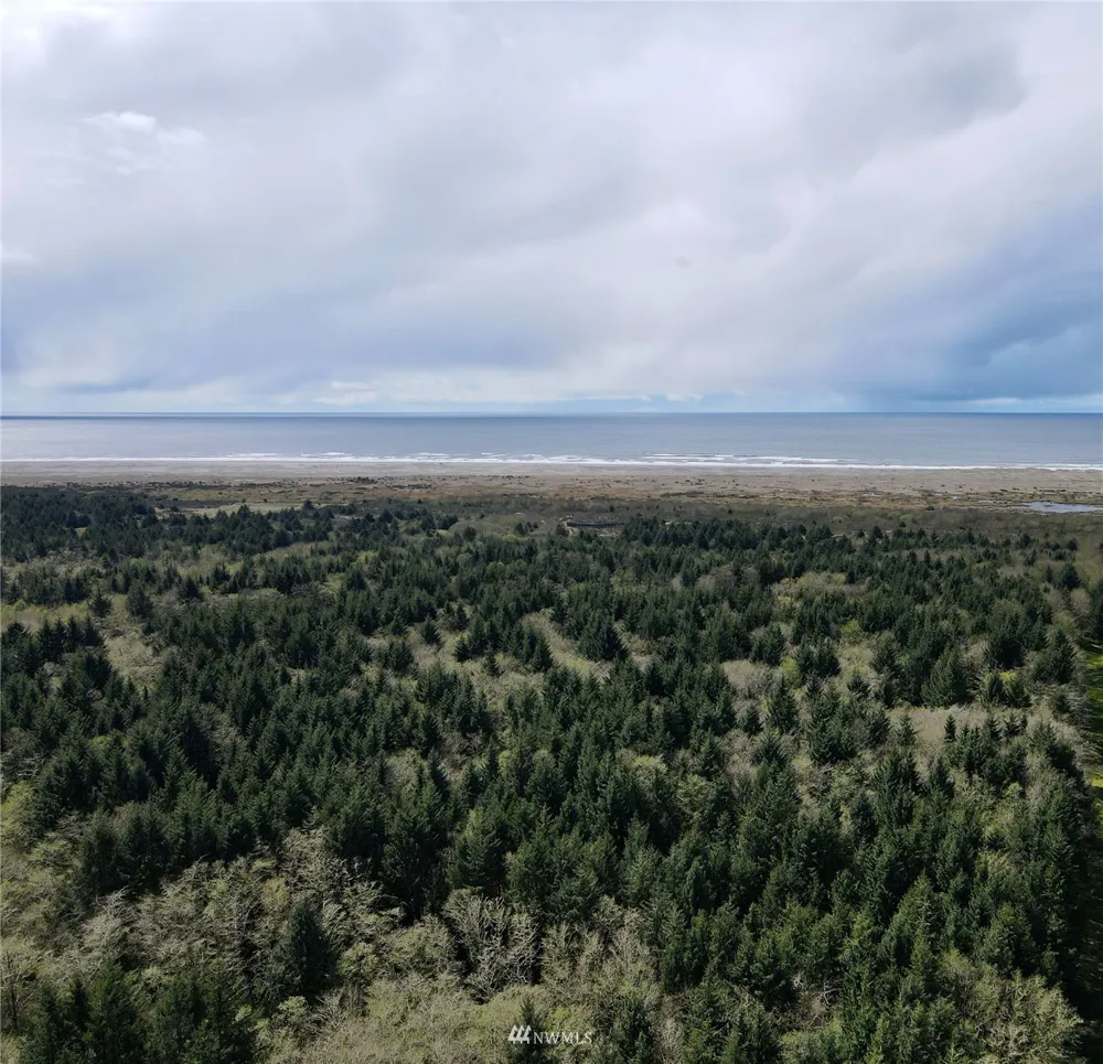 30 S State Route 105 Grayland, WA 98547