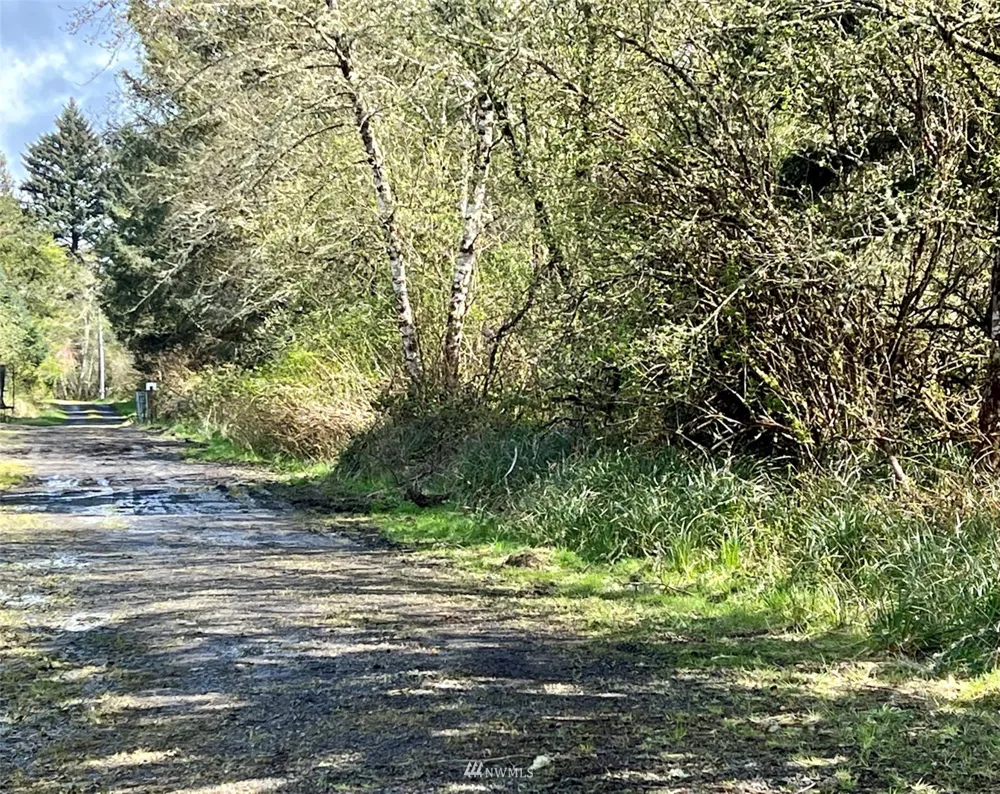 30 S State Route 105 Grayland, WA 98547