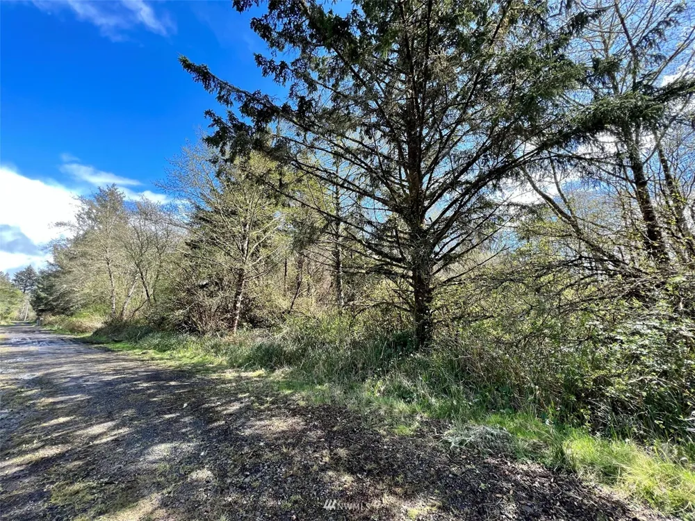 30 S State Route 105 Grayland, WA 98547