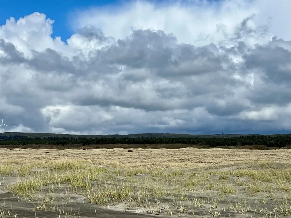 30 S State Route 105 Grayland, WA 98547
