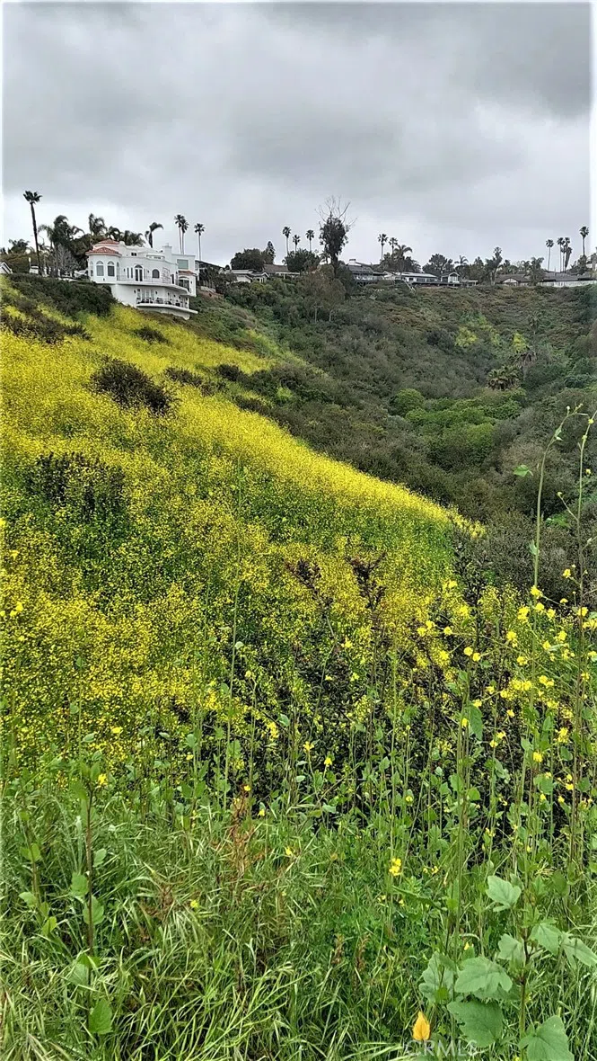 El Levante San Clemente, CA 92672