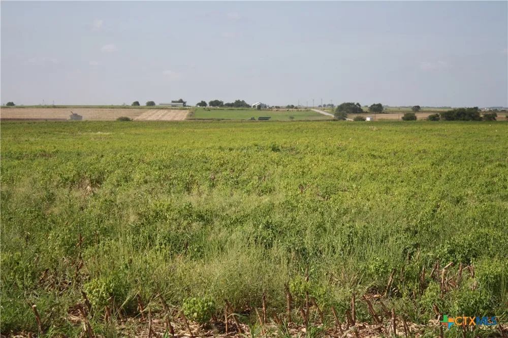 Gooseneck Road #2 Bartlett, TX 76511