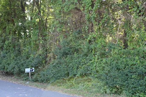 0 Higginbotham Rd
