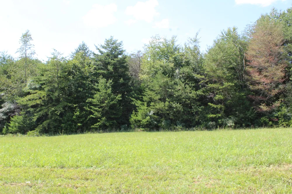 0 Higginbotham Rd McMinnville, TN 37110
