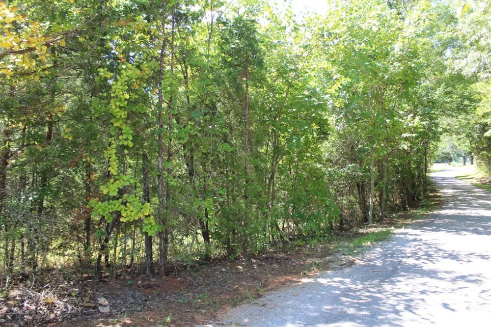 0 Higginbotham Rd McMinnville, TN 37110