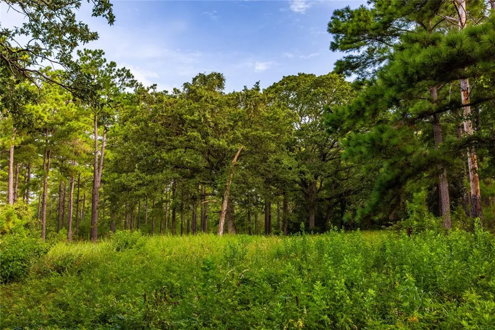 Hwy 155 Frankston, TX 75763