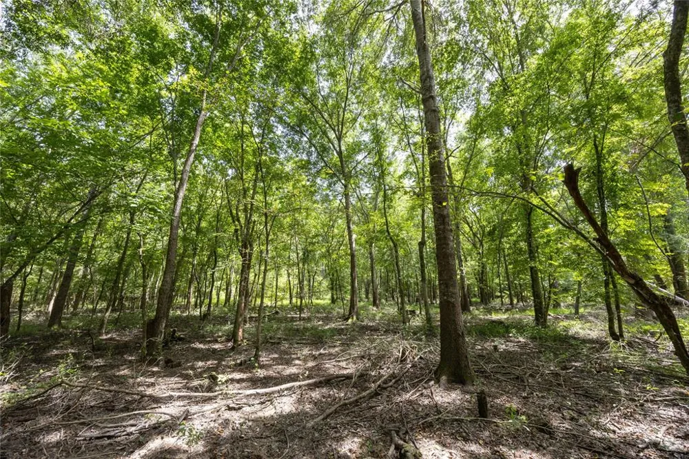 County Road 4221 Frankston, TX 75763