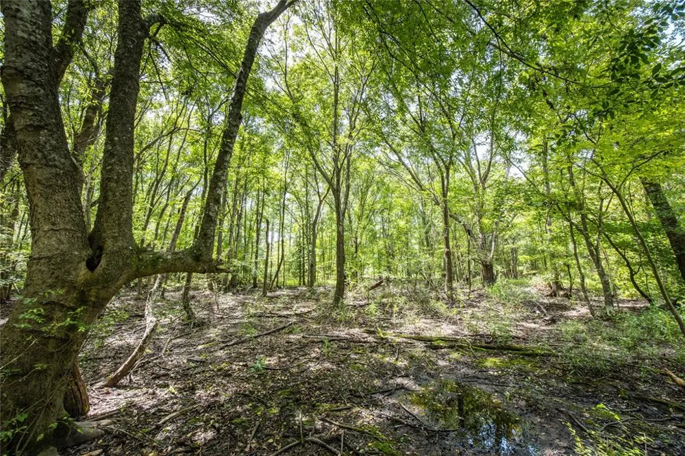 County Road 4221 Frankston, TX 75763
