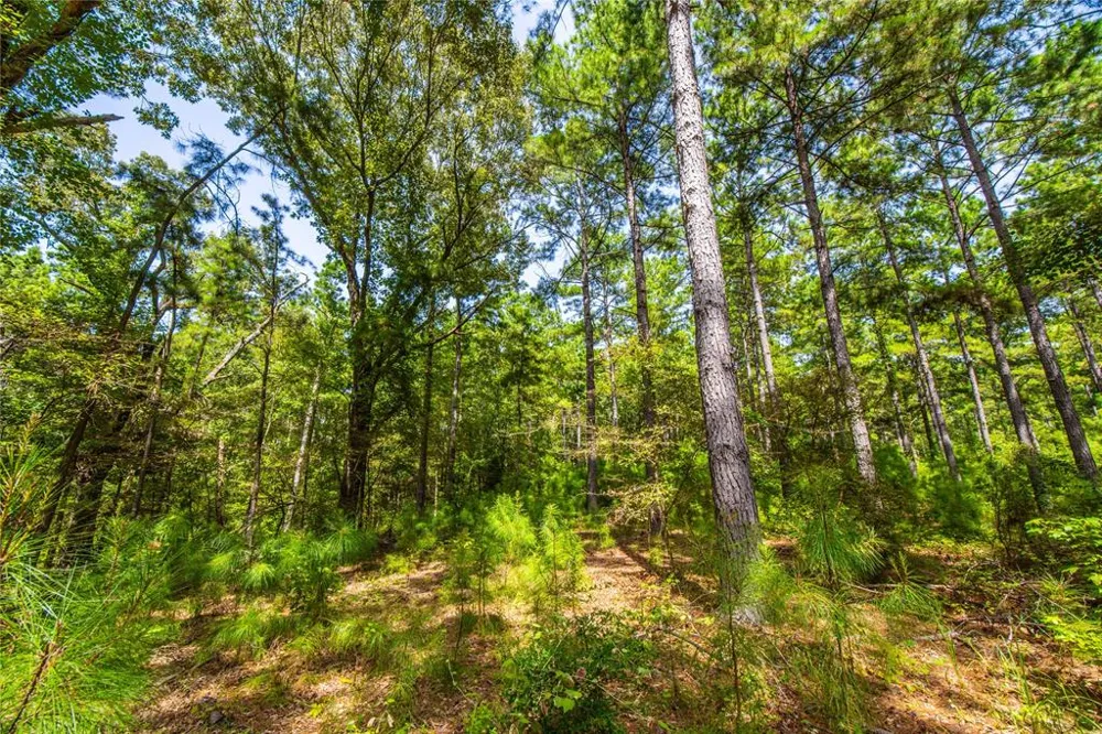 County Road 4221 Frankston, TX 75763