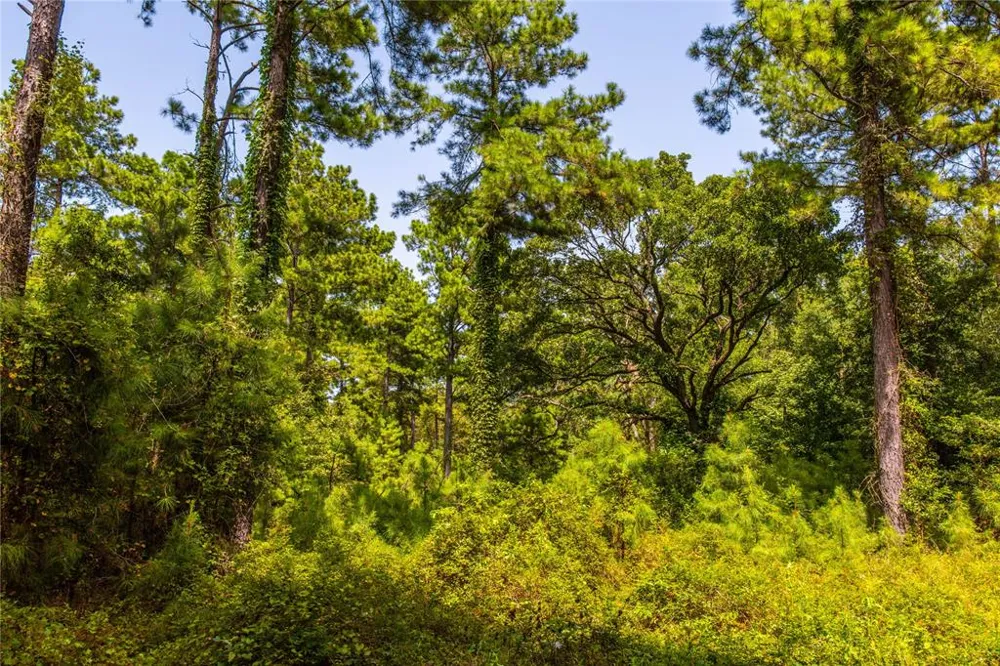 County Road 4221 Frankston, TX 75763