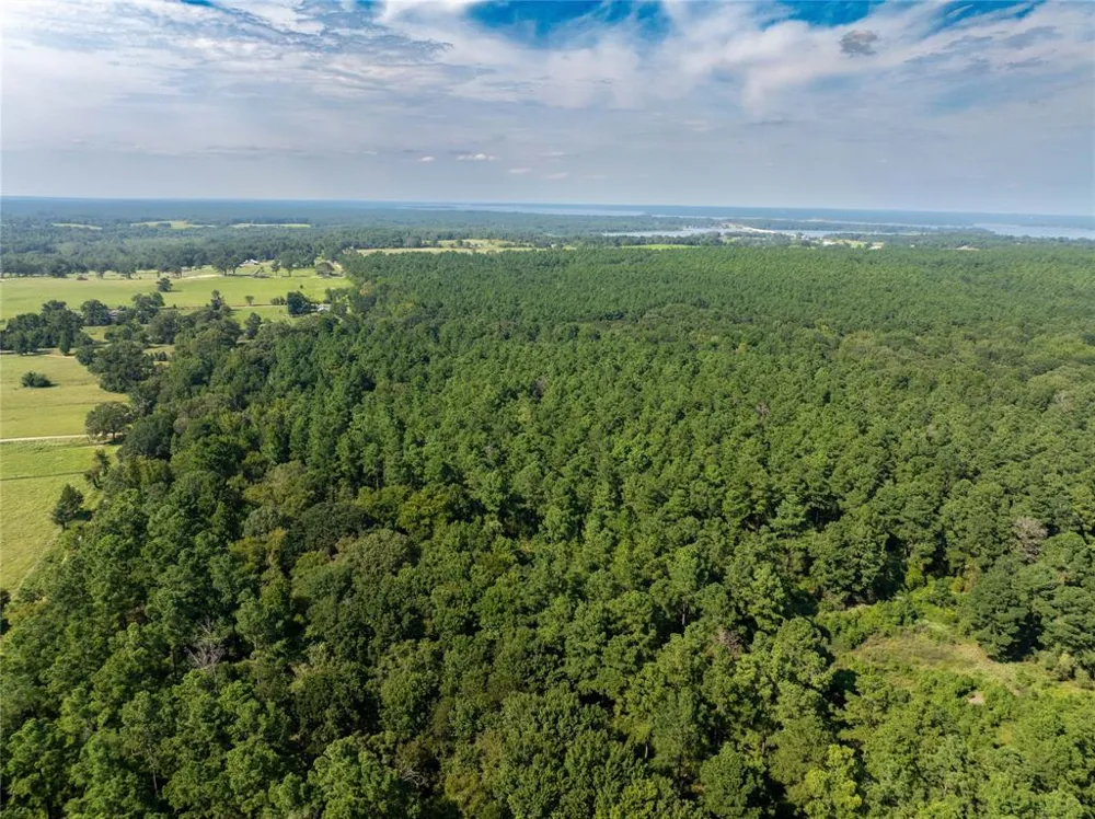 County Road 4221 Frankston, TX 75763