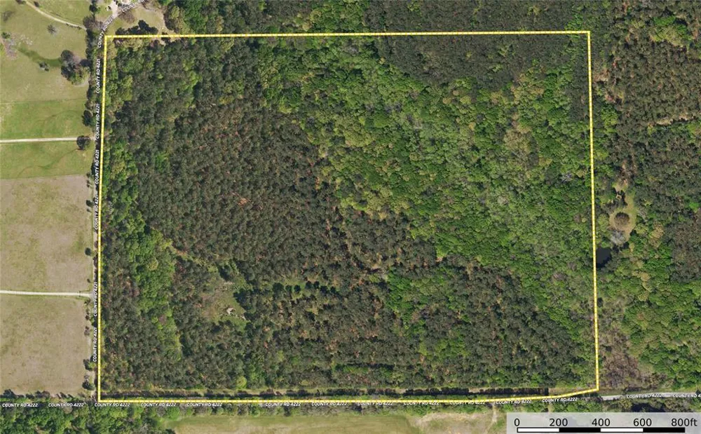 County Road 4221 Frankston, TX 75763