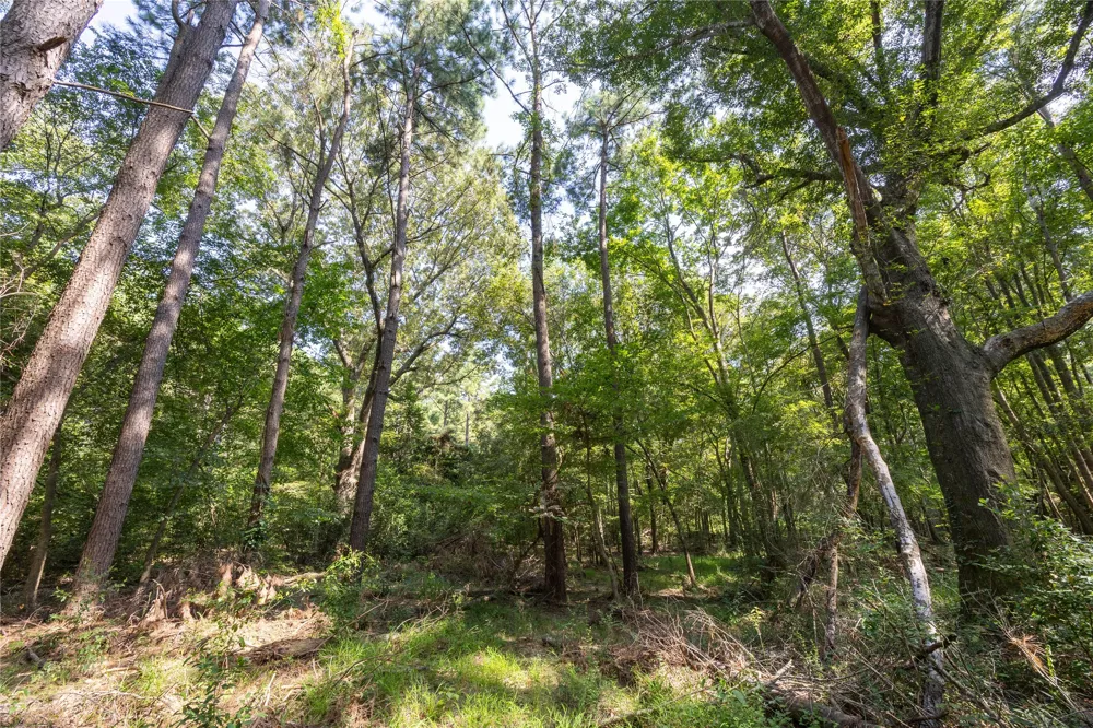 County Road 4221 Frankston, TX 75763