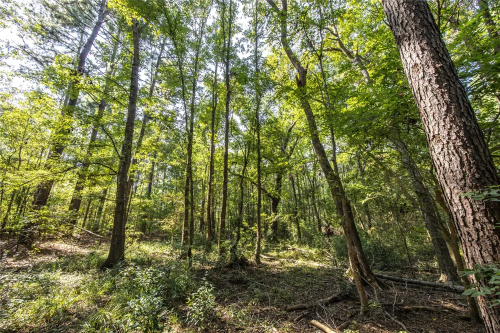 County Road 4221 Frankston, TX 75763
