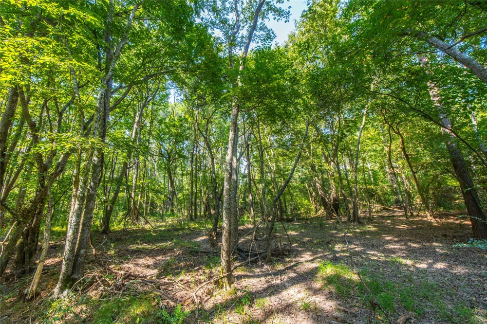 County Road 4221 Frankston, TX 75763