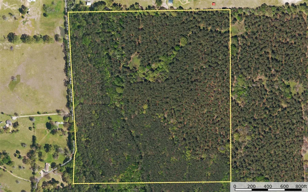 County Road 4221 Frankston, TX 75763