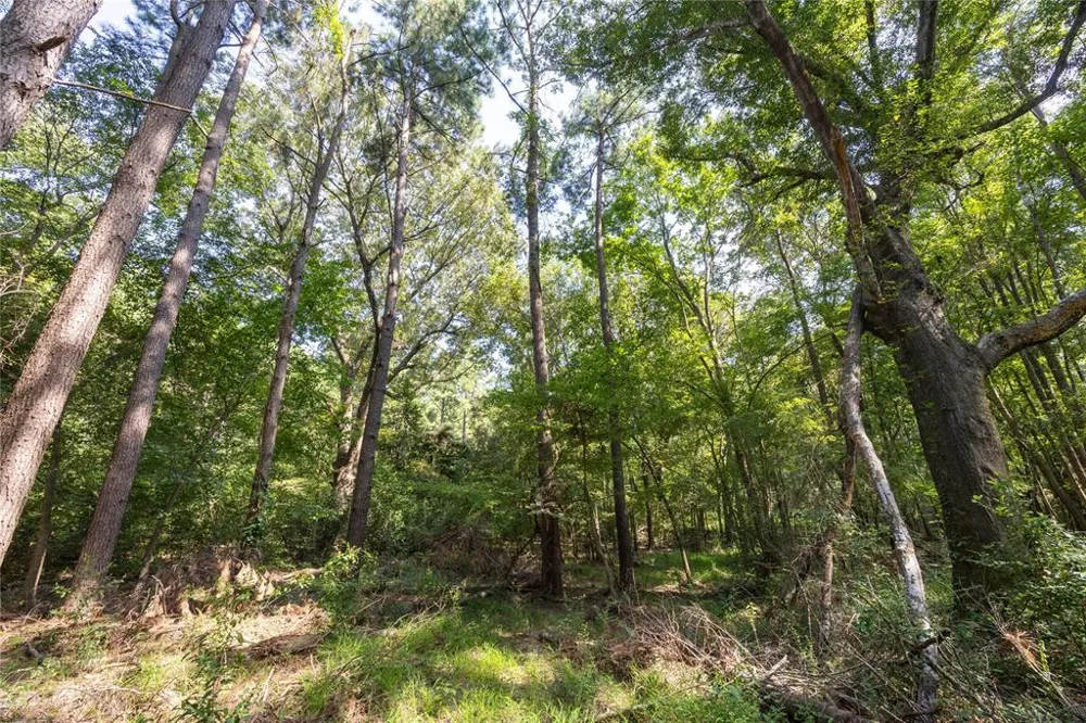 County Road 4221 Frankston, TX 75763
