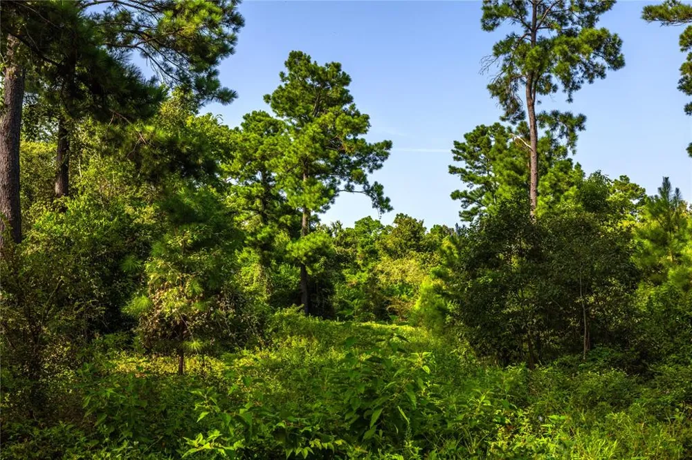 County Road 4222 Frankston, TX 75763