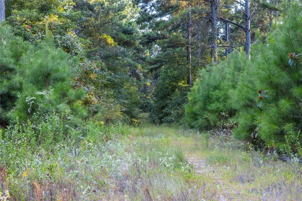 County Road 4222 Frankston, TX 75763