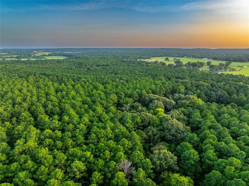 County Road 4222 Frankston, TX 75763
