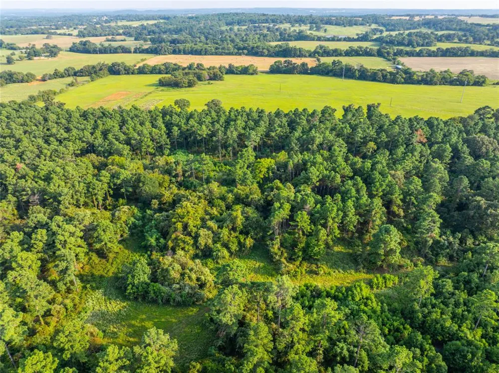 County Road 4222 Frankston, TX 75763