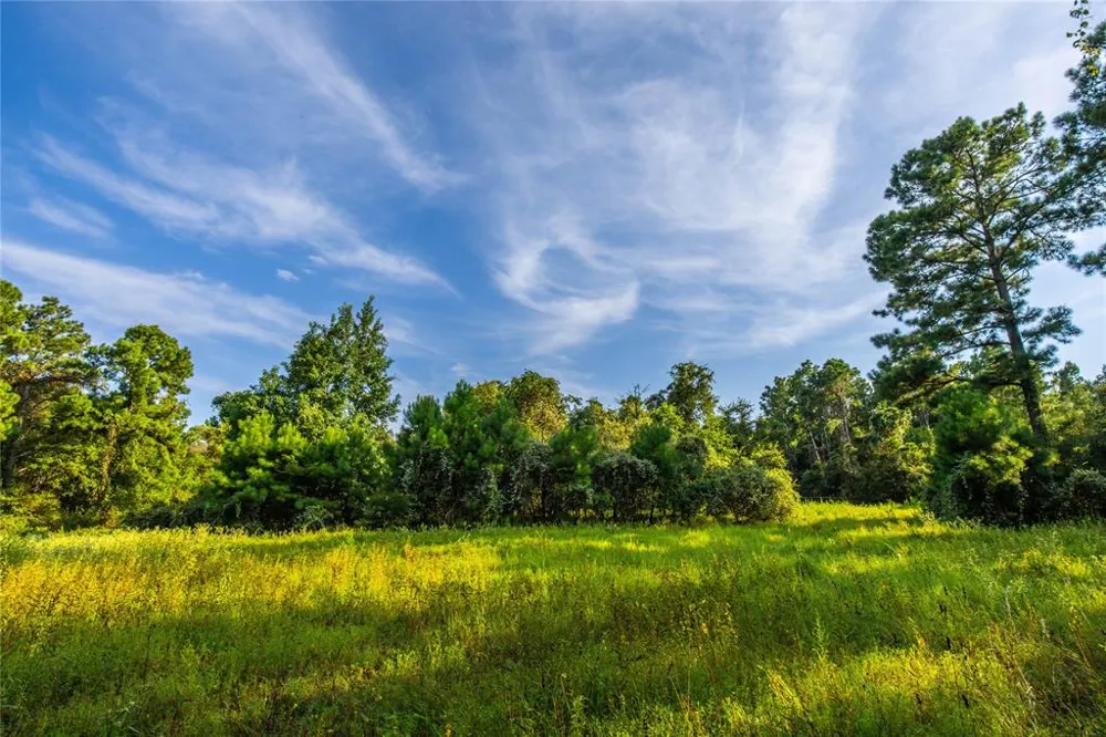 County Road 4222 Frankston, TX 75763