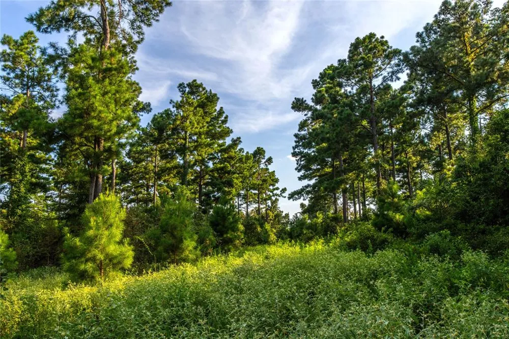 County Road 4222 Frankston, TX 75763