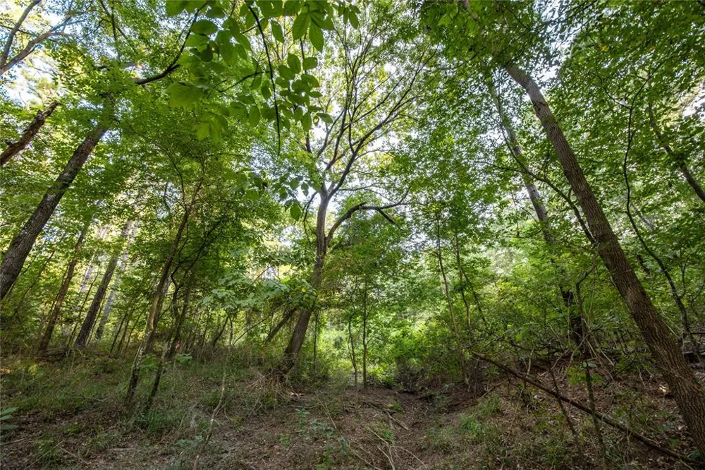 County Road 4222 Frankston, TX 75763