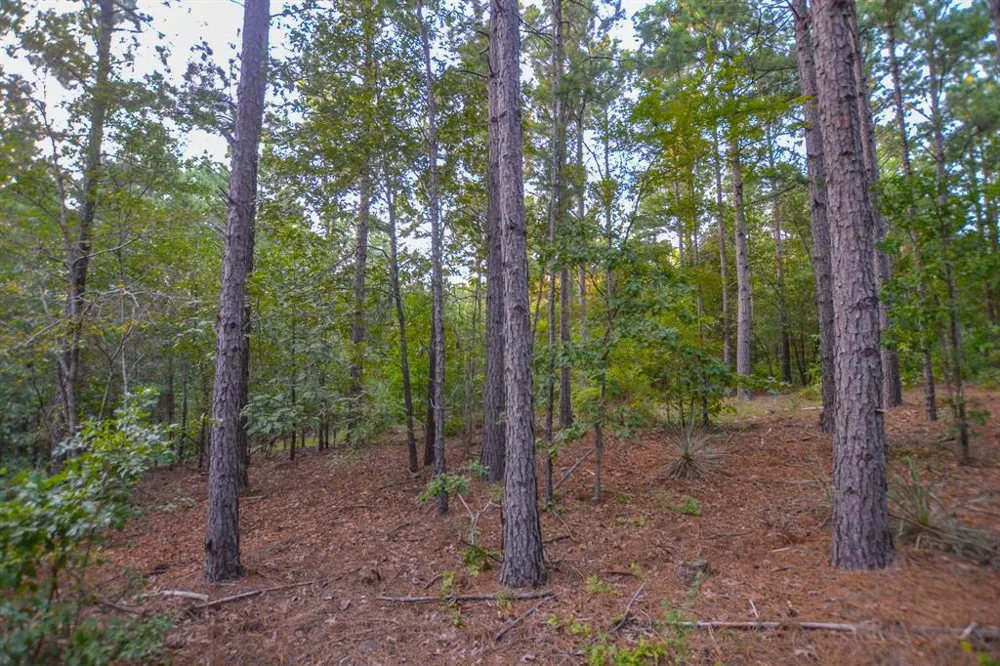 County Road 4224 Frankston, TX 75763
