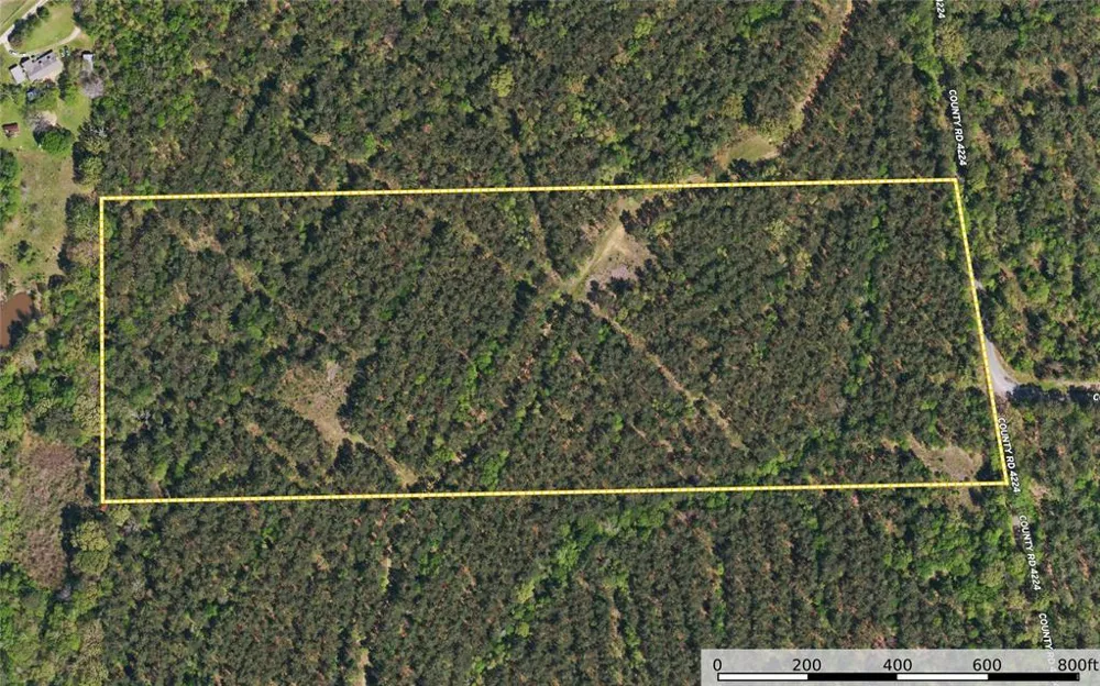 County Road 4224 Frankston, TX 75763