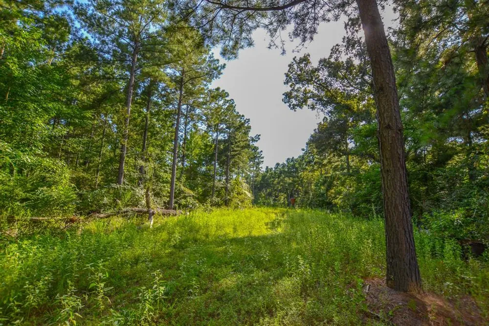 County Road 4224 Frankston, TX 75763