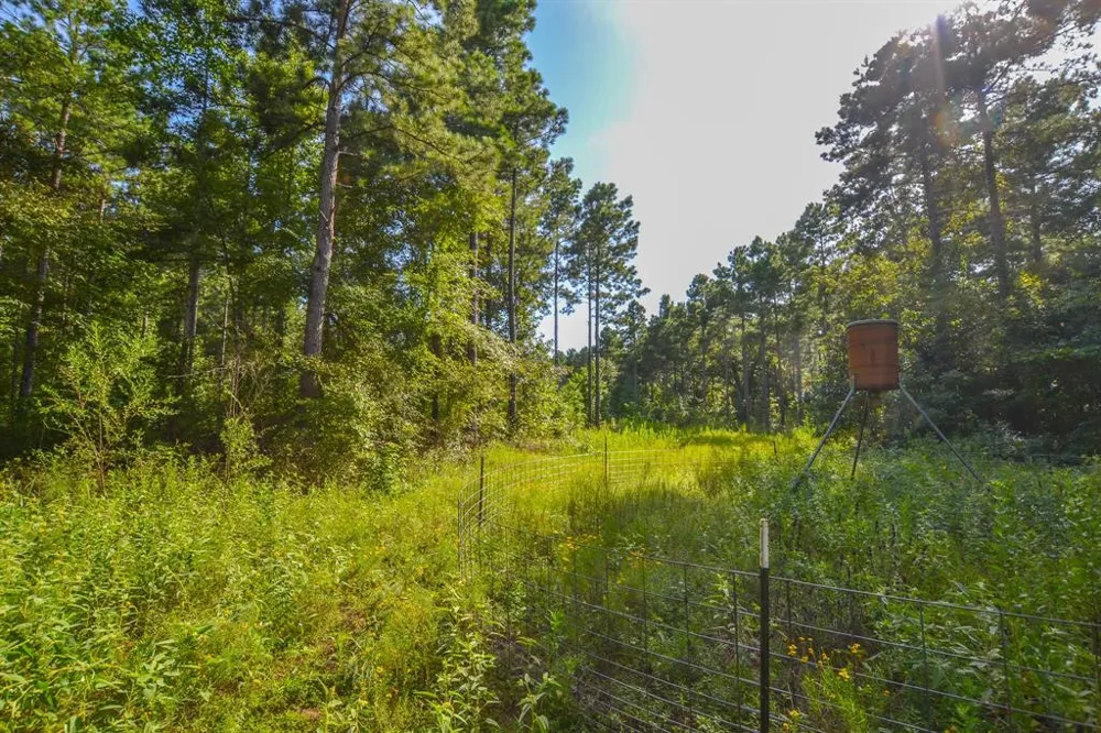 County Road 4224 Frankston, TX 75763