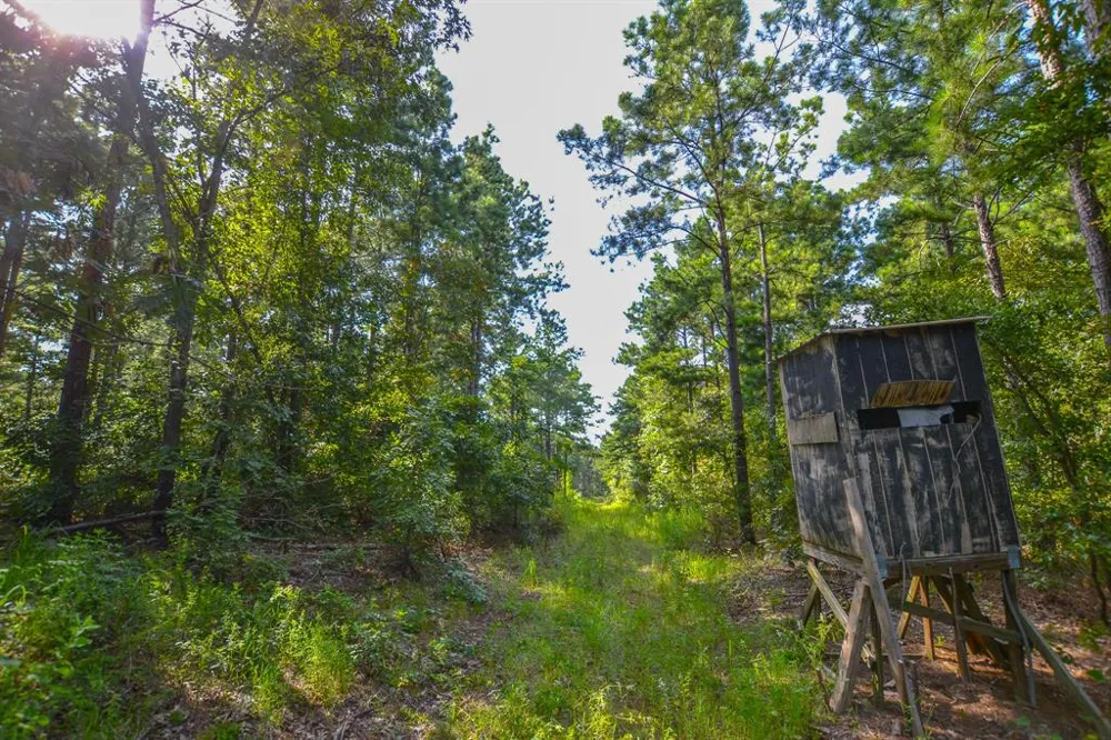 County Road 4224 Frankston, TX 75763