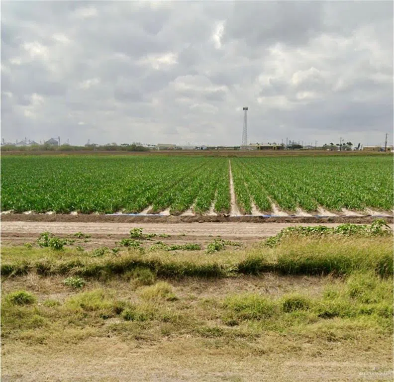 TBD S Military Road SE Progreso, TX 78579