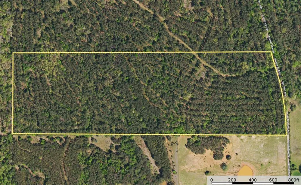 County Road 4224 Frankston, TX 75763