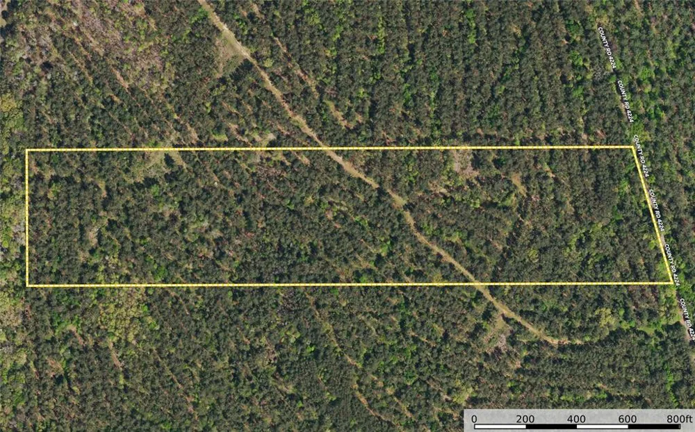 County Road 4224 Frankston, TX 75763