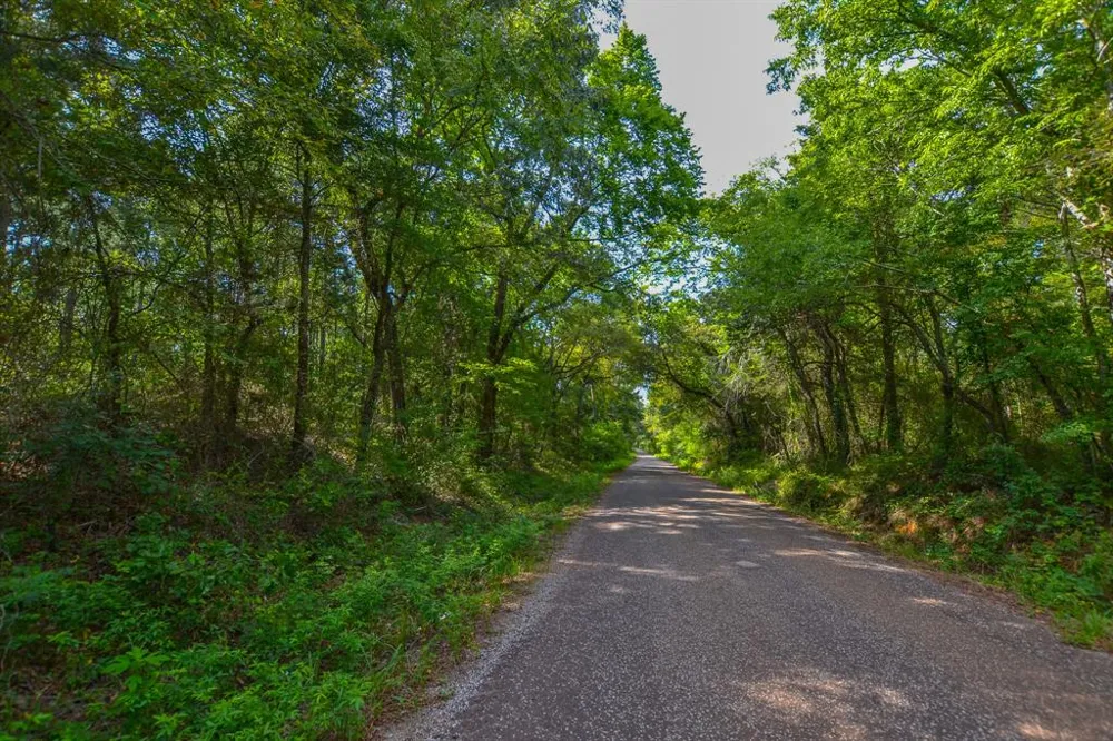 County Road 4224 Frankston, TX 75763