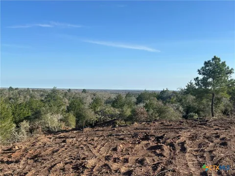 Sandy Fork Road
