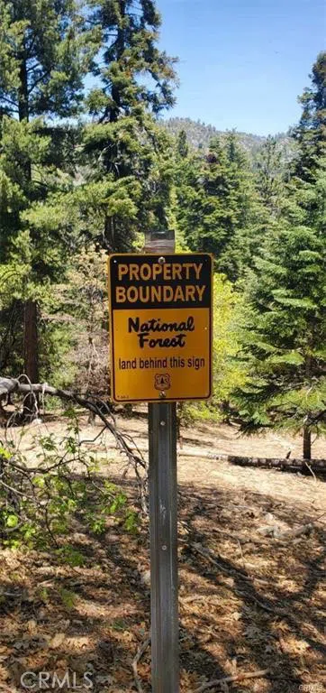 Deep Creek Drive Running Springs, CA 92382