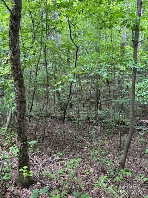 00 Timber Road Iron Station, NC 28080