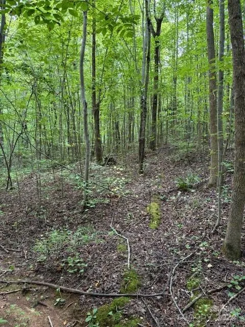 00 Timber Road Iron Station, NC 28080