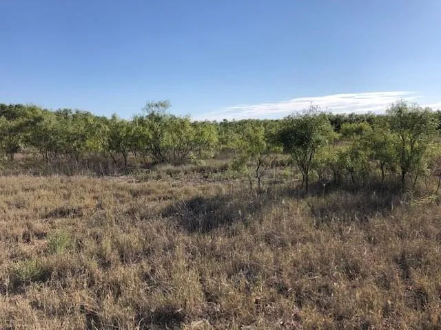 200 FM 1085 Roby, TX 79543