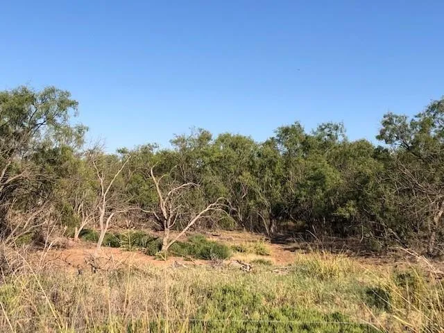 200 FM 1085 Roby, TX 79543